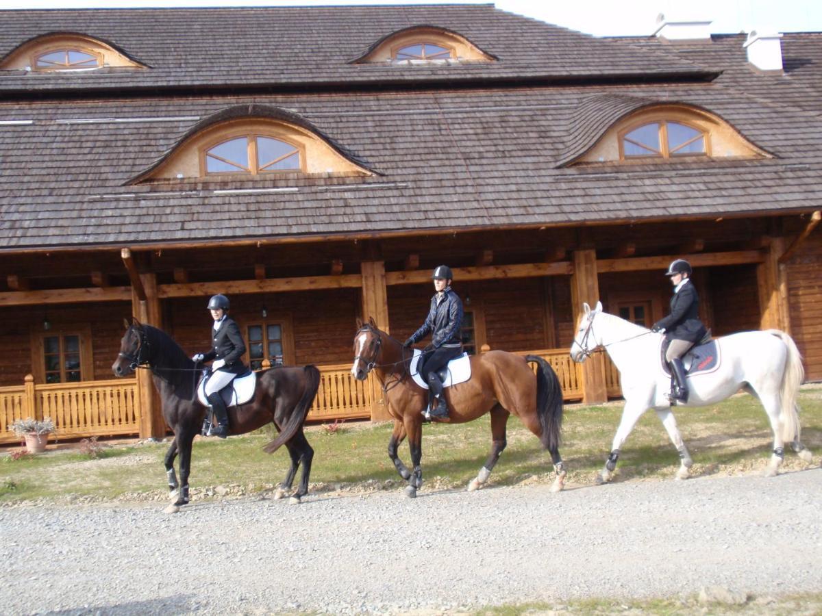 Karczma Regionalna Hotel Goscinna Chata Wysowa-Zdrój المظهر الخارجي الصورة